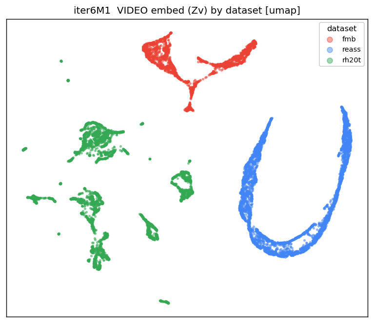 video embed by dataset